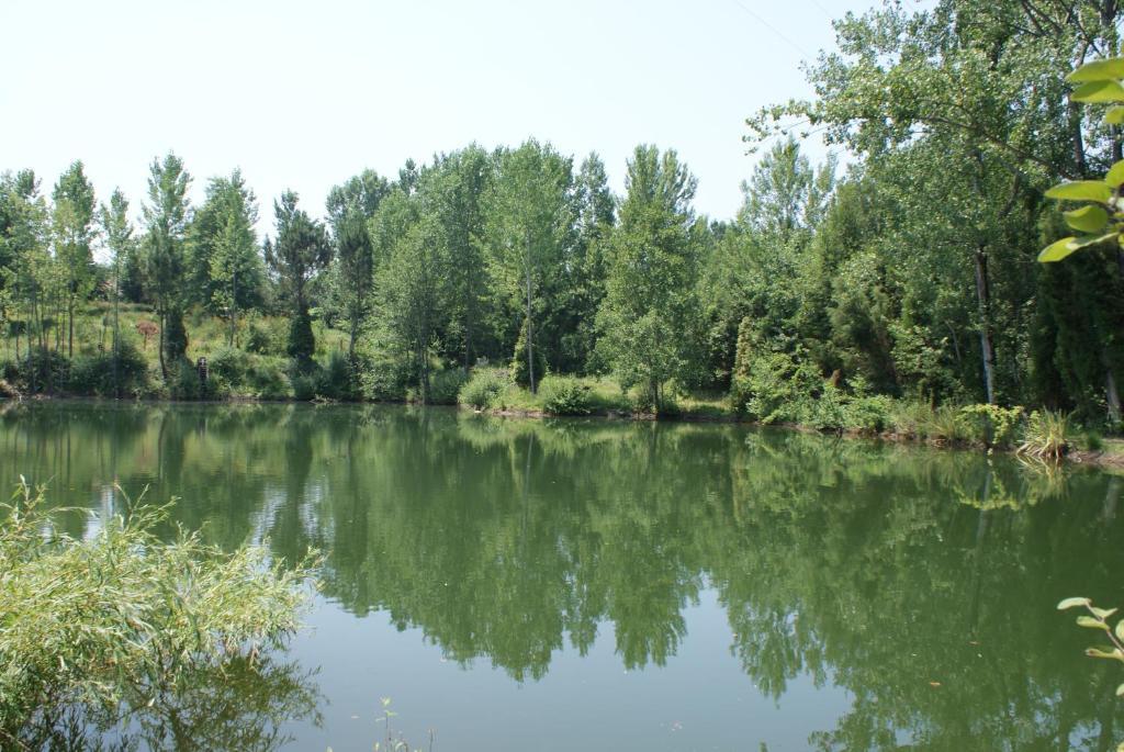 빌라 베르데 Quinta Do Sobreiro 게스트하우스 외부 사진
